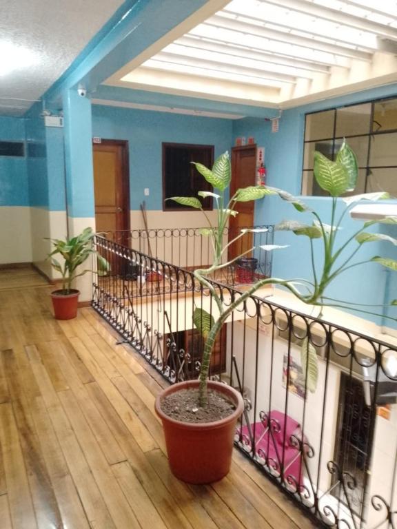 Fotografie z fotogalerie ubytování Hostal Mediodía MATRIZ v destinaci Quito