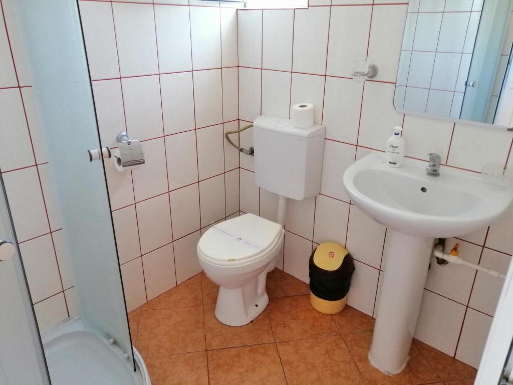 Koupelna v ubytování Pensiunea Solinia