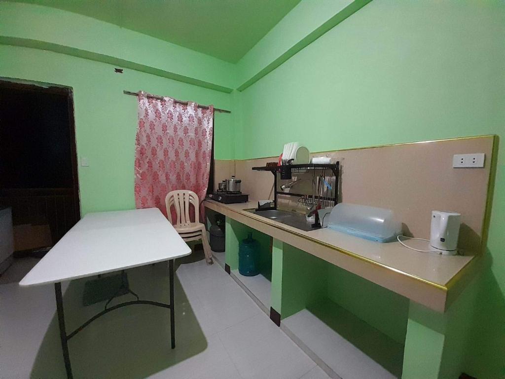 a kitchen with green walls and a counter top at Baguio Transient in Baguio