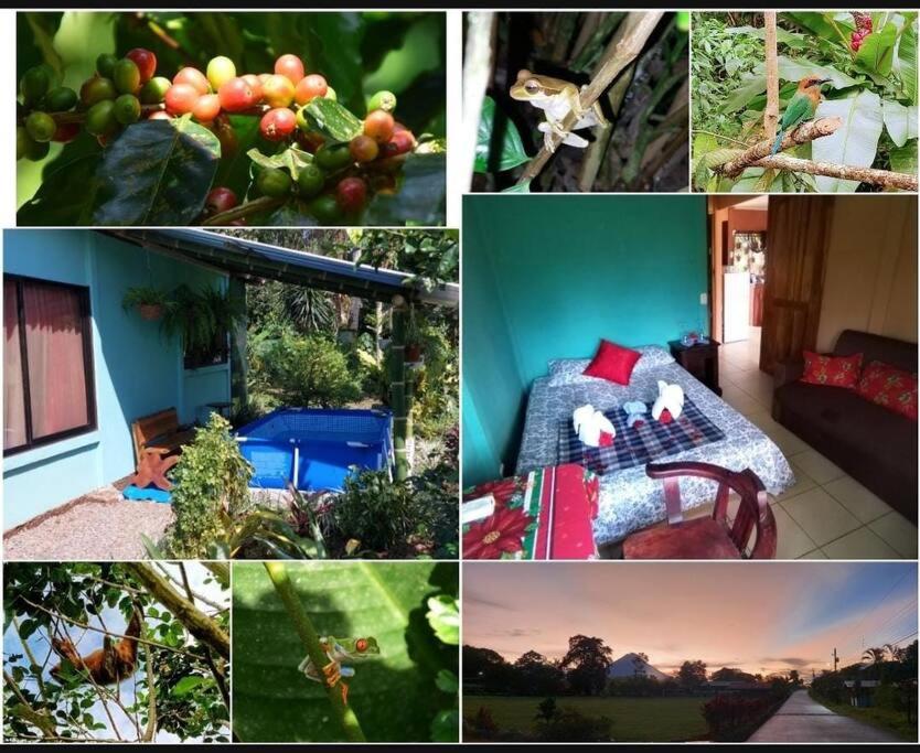 Agua Azul – Photos 5