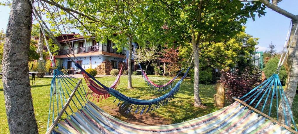 a hammock in a yard in front of a house at Apartamentos Rosa Jove in Cabañas
