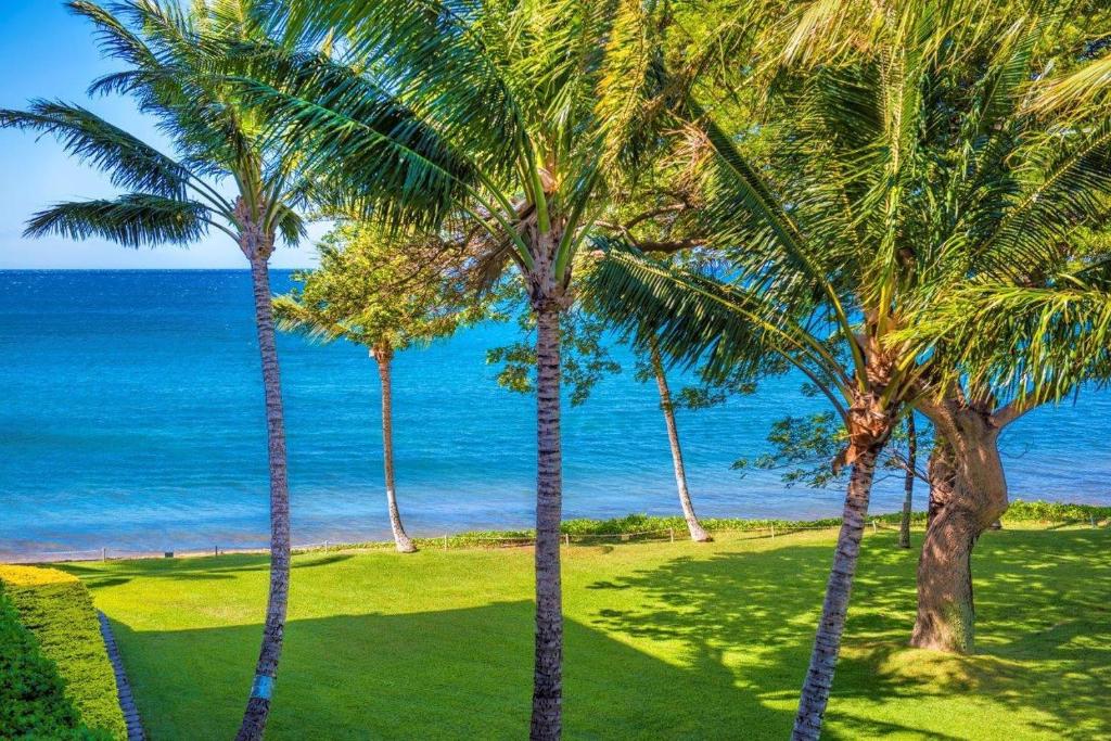 a group of palm trees in front of the ocean at Kealia Resort 309 in Kihei