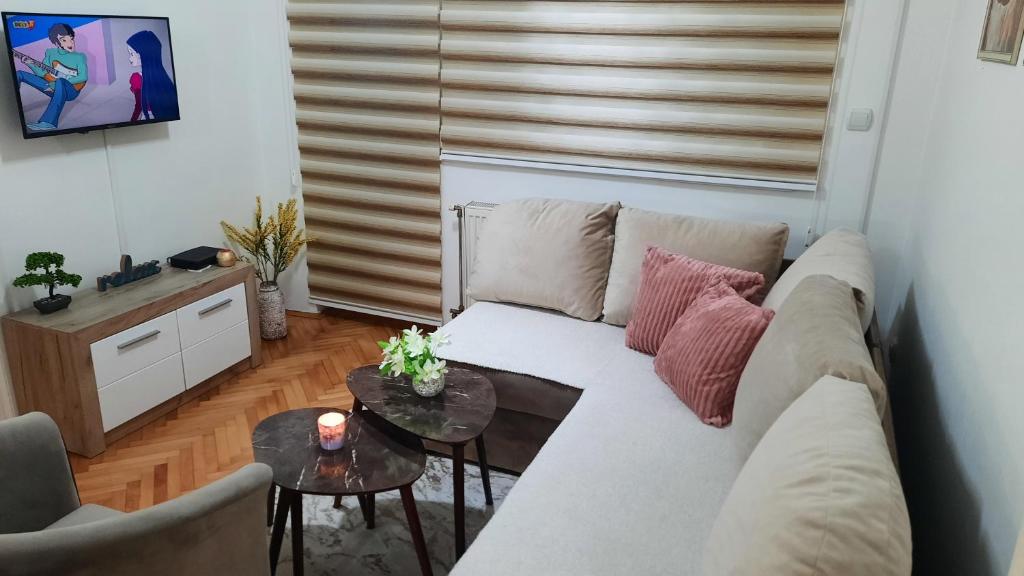 - un salon avec un canapé et une table dans l'établissement Apartman Sky, à Bijeljina