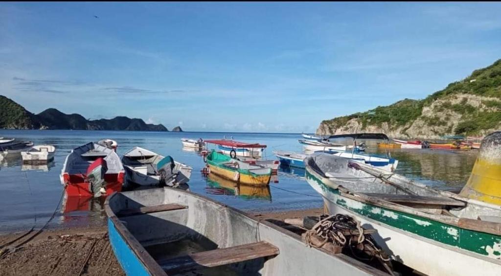un grupo de barcos están atracados en una playa en Taganga Dive Inn en Taganga