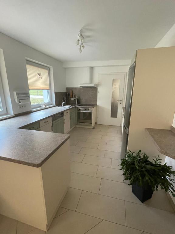 Kuchyň nebo kuchyňský kout v ubytování Karo`s Apartment