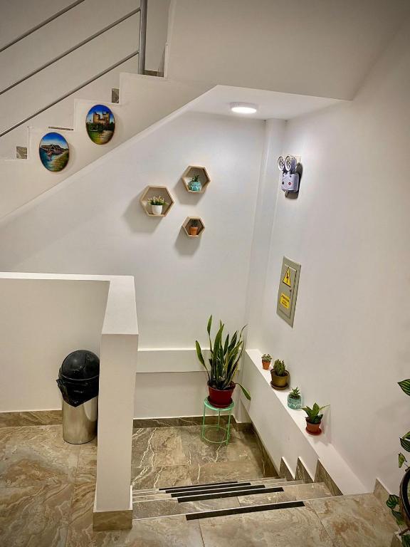 Fotografie z fotogalerie ubytování CASA SHILCAYO Habitaciones Vacacionales v destinaci Tarapoto