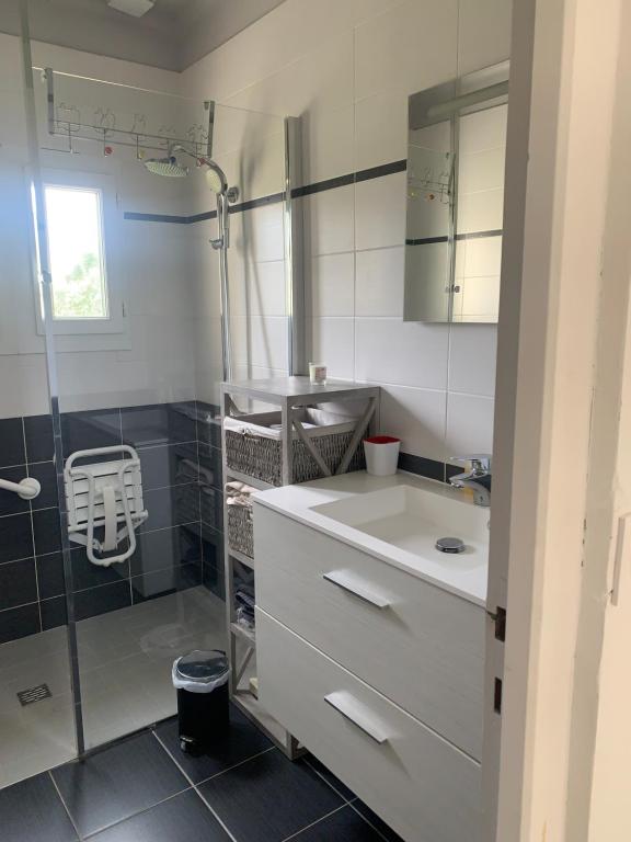 La salle de bains est pourvue d'un lavabo et d'une douche. dans l'établissement Maison vue sur mer, à Perros-Guirec