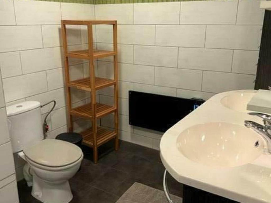 a bathroom with a toilet and a sink at Lovely holiday home in Gouvy with sauna in Gouvy