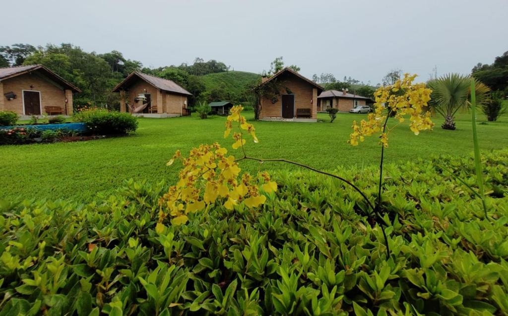 a bush with yellow flowers in a yard with houses at Pousada dos Girassóis in Cunha