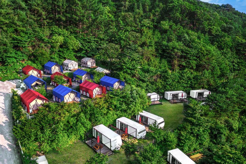 une vue aérienne d'un groupe de chameaux garés sur une colline dans l'établissement Club Lespia Namyangju 2nd Branch, à Namyangju