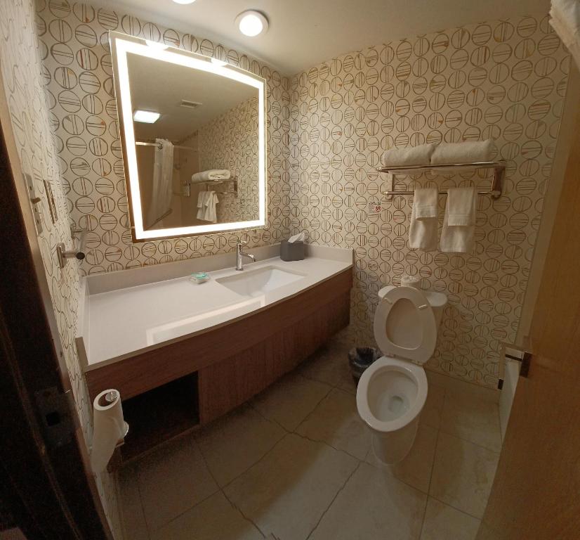 Koupelna v ubytování Holiday Inn - McAllen - Medical Center Area by IHG