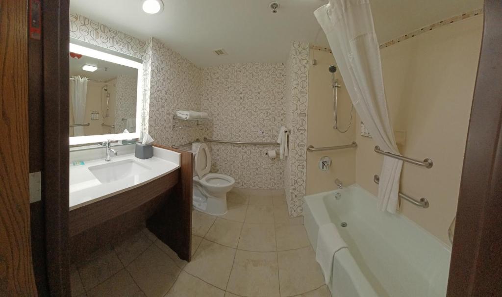 Koupelna v ubytování Holiday Inn - McAllen - Medical Center Area by IHG
