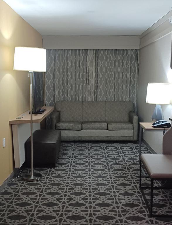 Posezení v ubytování Holiday Inn - McAllen - Medical Center Area by IHG