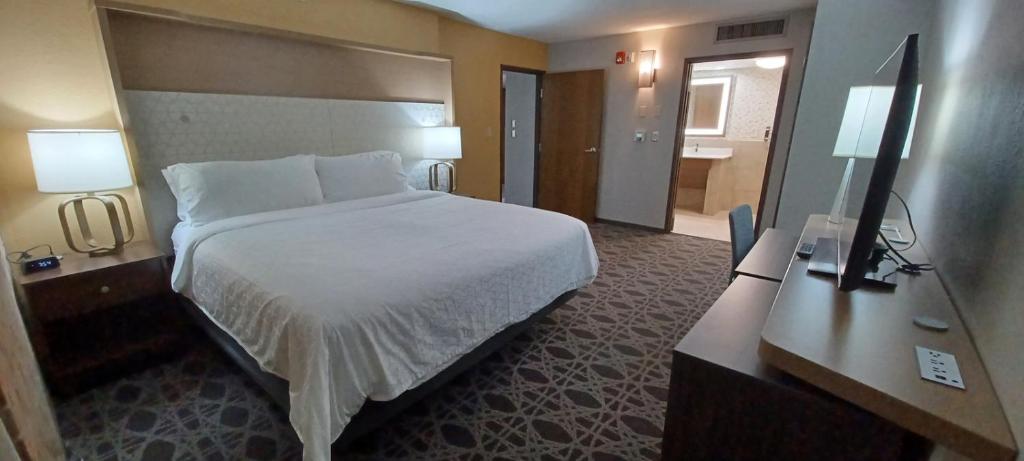 Postel nebo postele na pokoji v ubytování Holiday Inn - McAllen - Medical Center Area by IHG