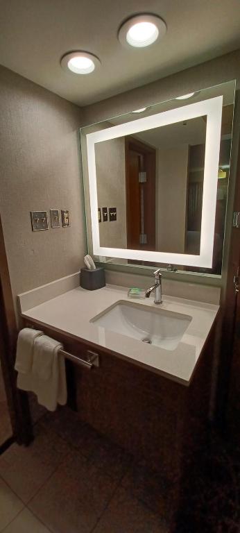 Koupelna v ubytování Holiday Inn - McAllen - Medical Center Area by IHG