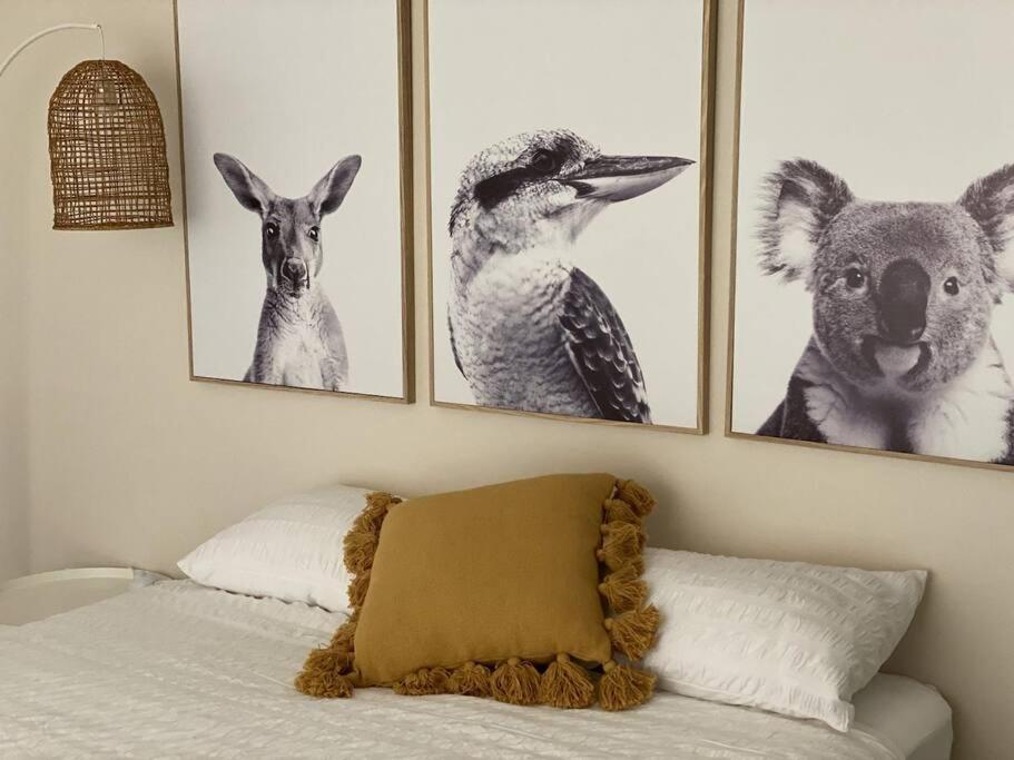 4 photos d'animaux sur un mur au-dessus d'un lit dans l'établissement The Bungalow - Wave Rock Short Stay, à Hyden