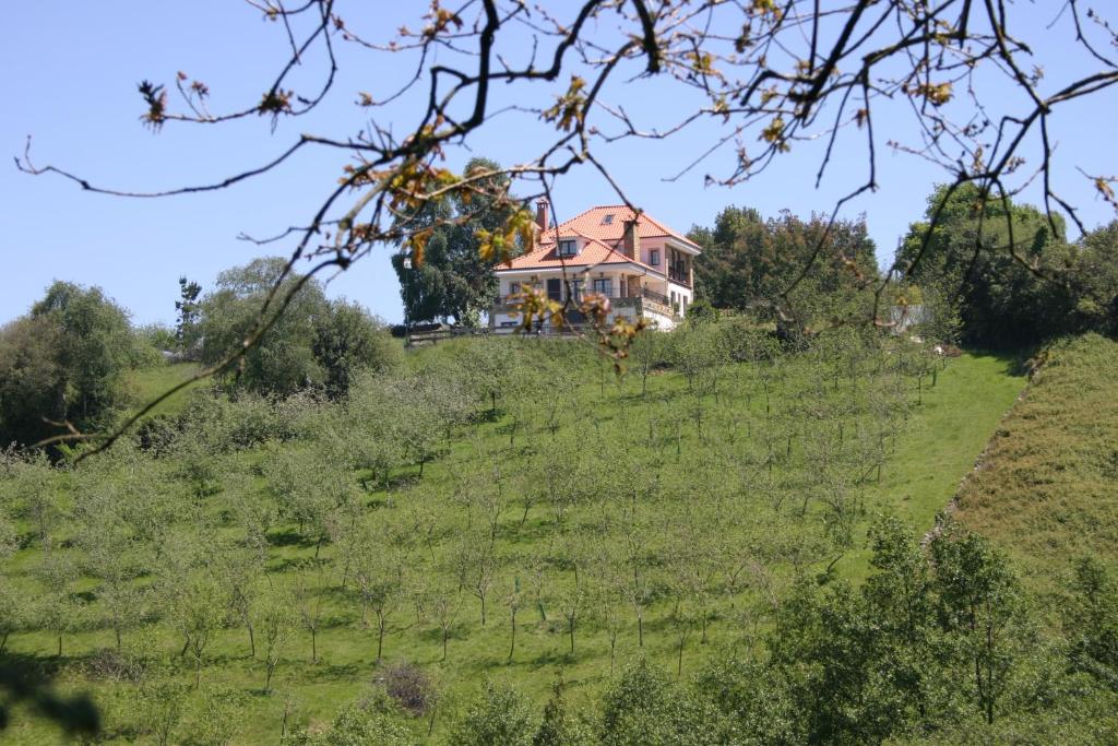 Příroda nedaleko hotelu