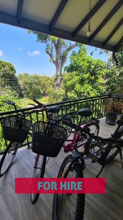 Peacock Villa Resort - 19