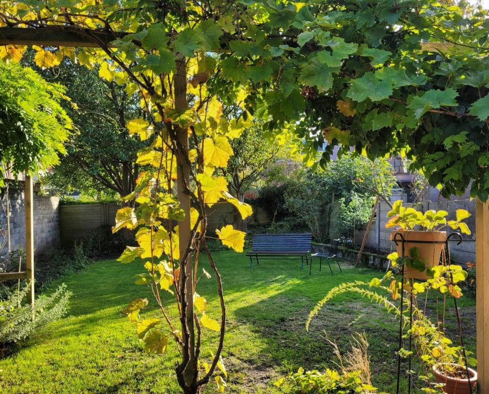 Een tuin van Appartement 'de Stadstuin'
