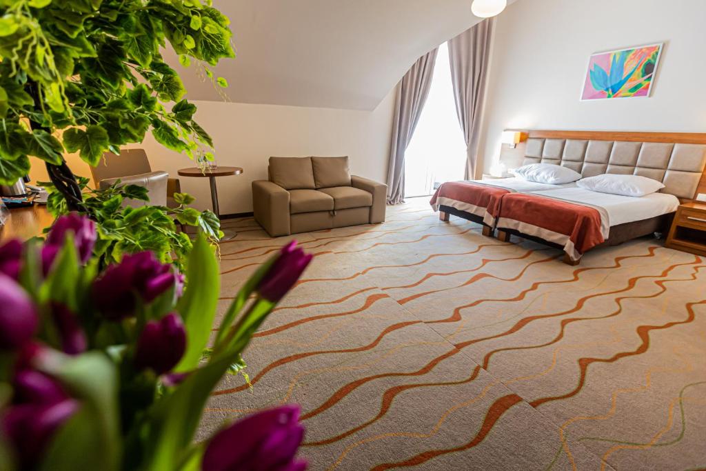 Hotel Olivia Medical SPA - Habitación Doble De Lujo Con Balcón