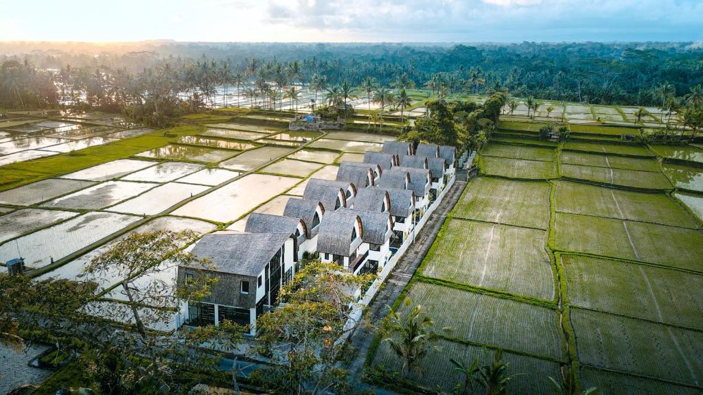 an aerial view of a farm with rows of houses at ASRI CINTA VILLA in Ubud