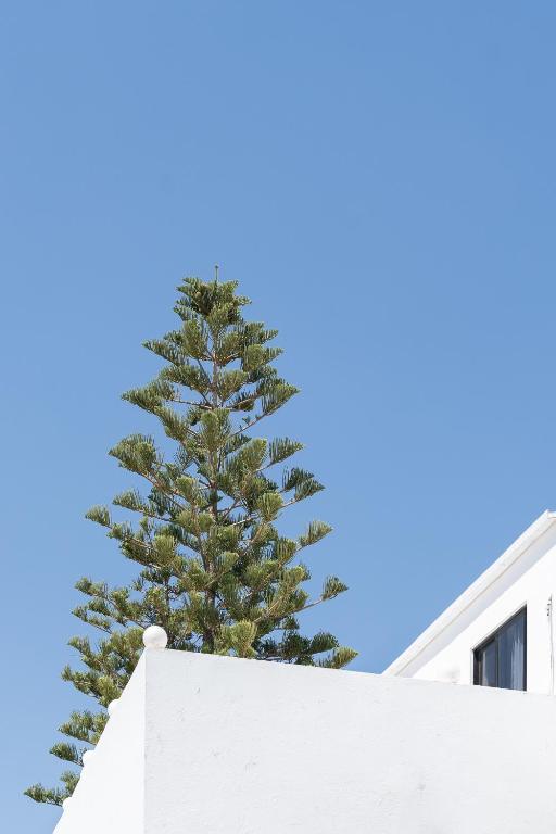 Fotografie z fotogalerie ubytování Absolute Kiotari Resort v destinaci Asklipiḯon