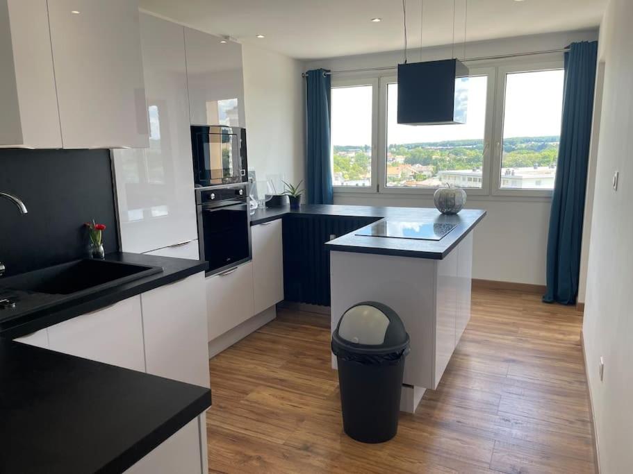 Cuisine ou kitchenette dans l'établissement Appartement EPINAL calme