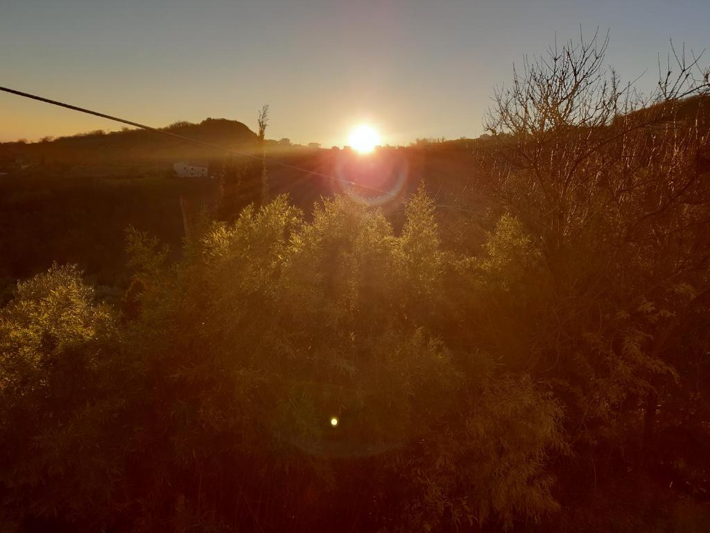 une image du coucher de soleil derrière les arbres dans l'établissement quercia grande, à Casoli