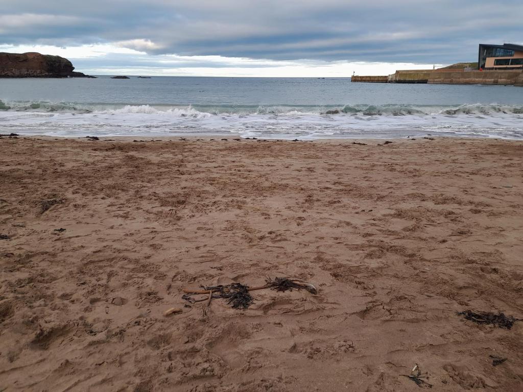 a sandy beach with the ocean in the background at Charming Eyemouth apartment close the beach in Eyemouth