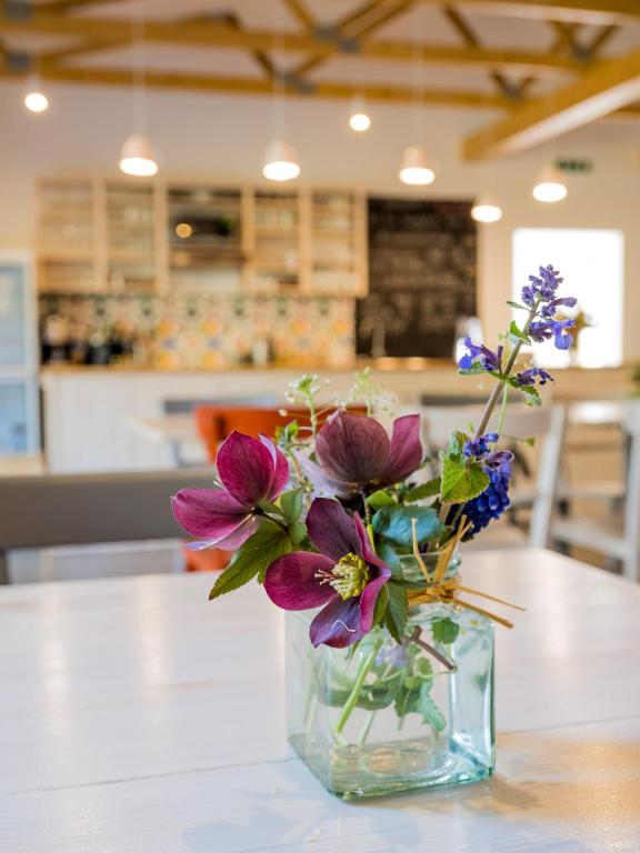 Η κουζίνα ή μικρή κουζίνα στο Hostel Zahrada Mikulov