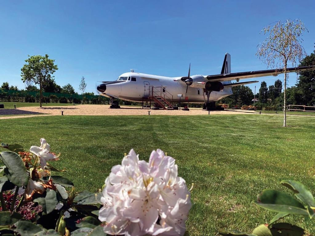 un avión está estacionado en un campo con una flor en Natur Air Suite, en Ghiaie