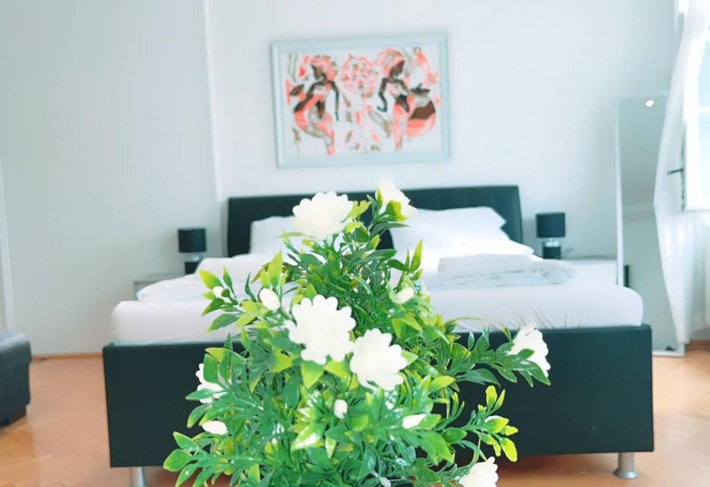 X Feb 2024 Deluxe Double room KP, Vienna (updated prices 2024)