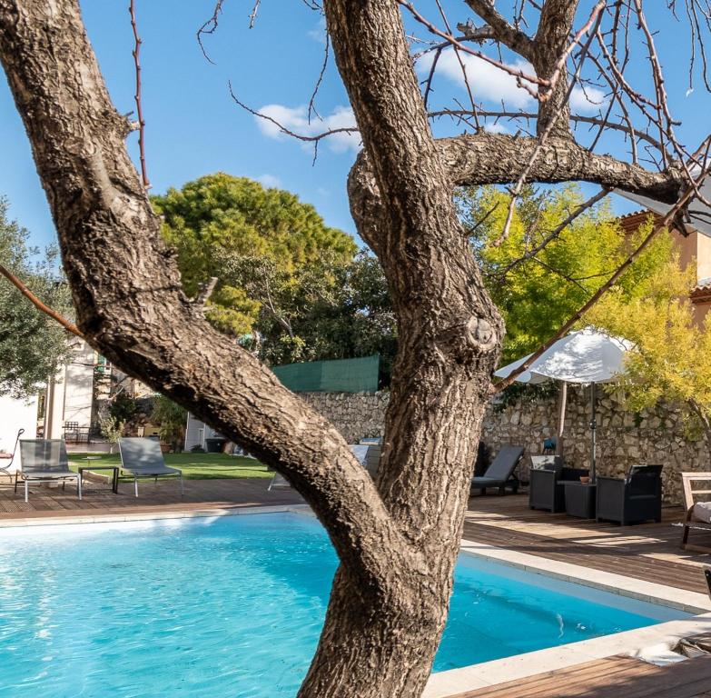 a tree next to a swimming pool at Chanot Le Studio cour parking et piscine in Marseille