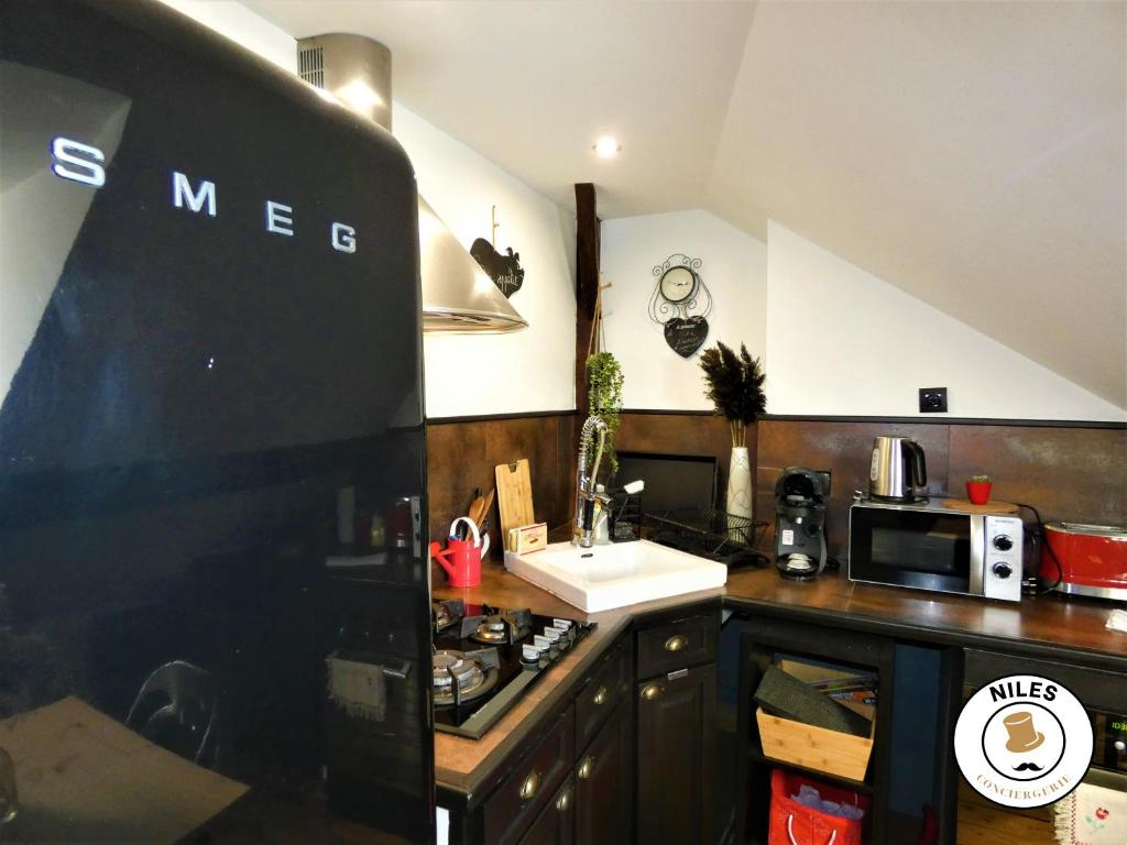 a small kitchen with a sink and a microwave at La Caze Paloise ~ Atypique ~ 100% Fonctionnel in Pau