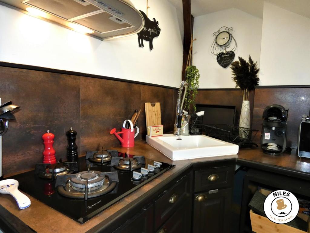 a kitchen with a stove top and a sink at La Caze Paloise ~ Atypique ~ 100% Fonctionnel in Pau