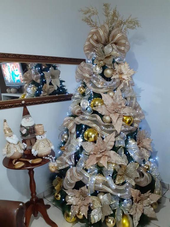 Fotografie z fotogalerie ubytování Hotel Rio Paraná v destinaci Guaíra