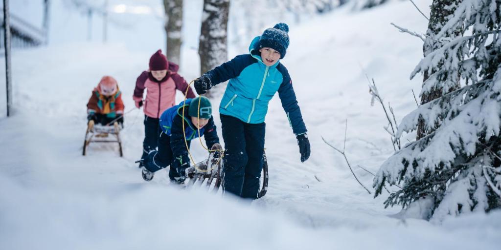 Hosté ubytování Naturel Hoteldorf Schönleitn