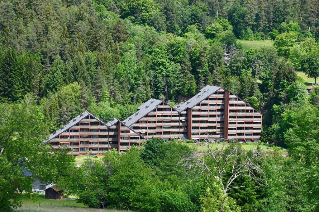 a large building in the middle of a forest at Appartement Vogelkoje Nummer 35 in Baiersbronn