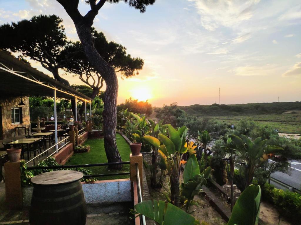 uma vista para o pôr-do-sol a partir do jardim em Camping Playa La Bota em Punta Umbría