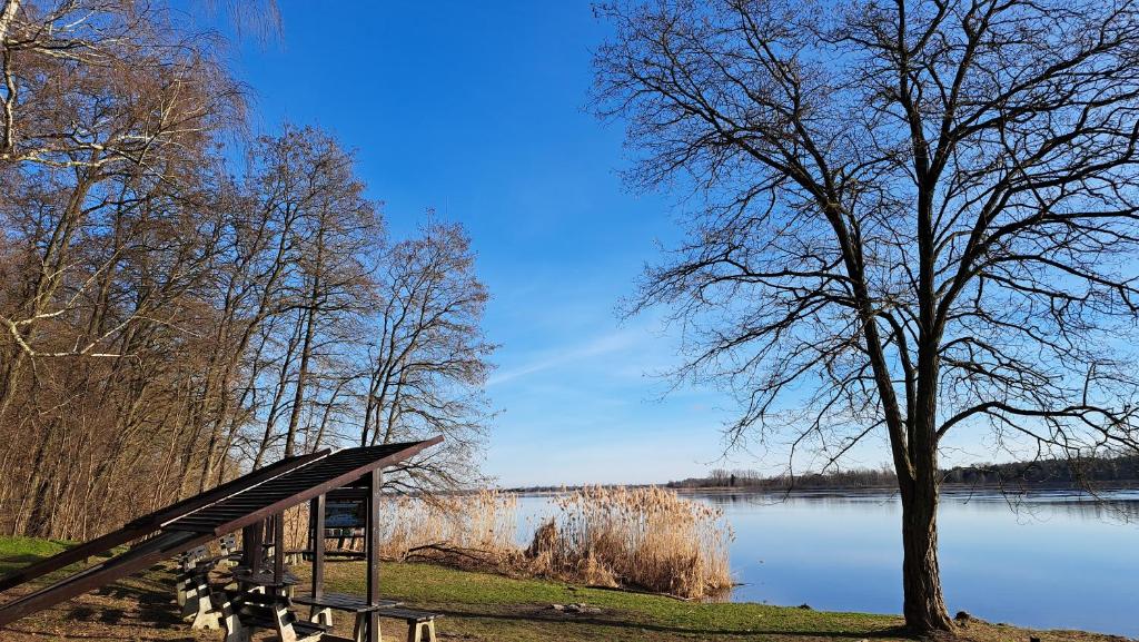 a picnic shelter next to a lake with a tree at Apartament Nad Zalewem Zegrzyńskim in Serock