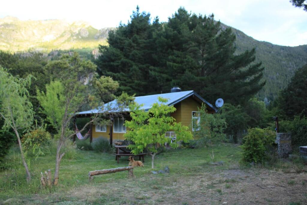 a small house in the middle of a forest at La Colorida in Lago Puelo