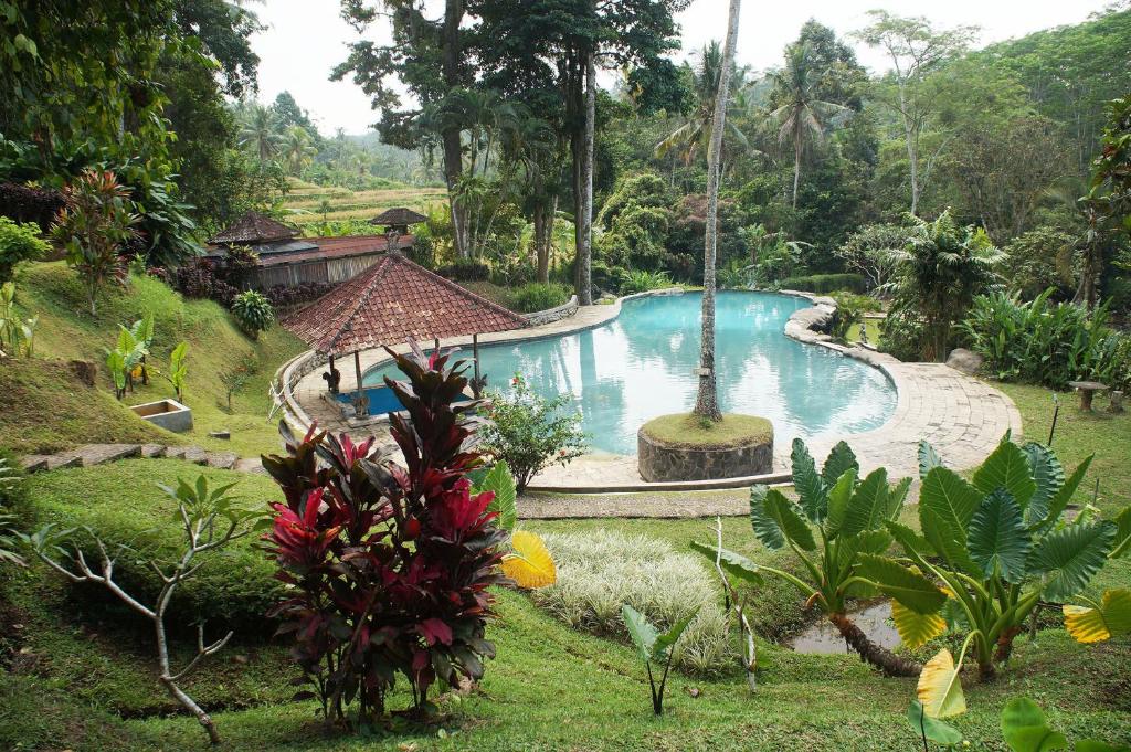 a large swimming pool in a garden with trees at Yeh Panes Hot Spring Resort in Penebel