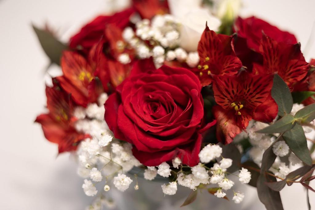 Apartmani Mozart-centar Virovitica - 10