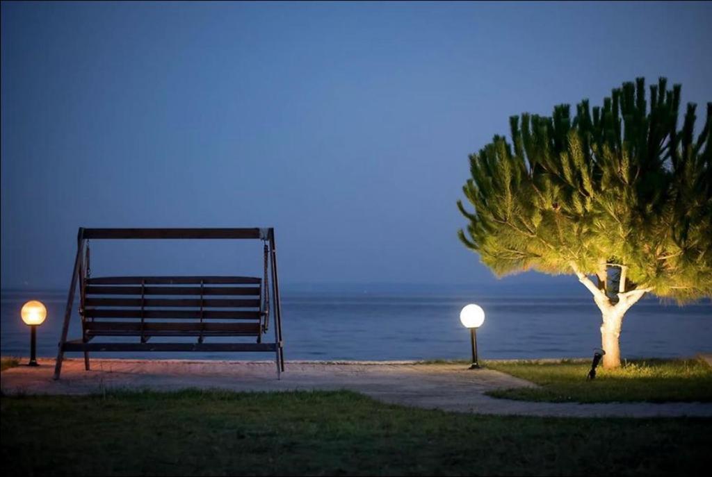 a bench and a tree next to the water at night at On the wave studios Spitakia sto kyma in Nikiti