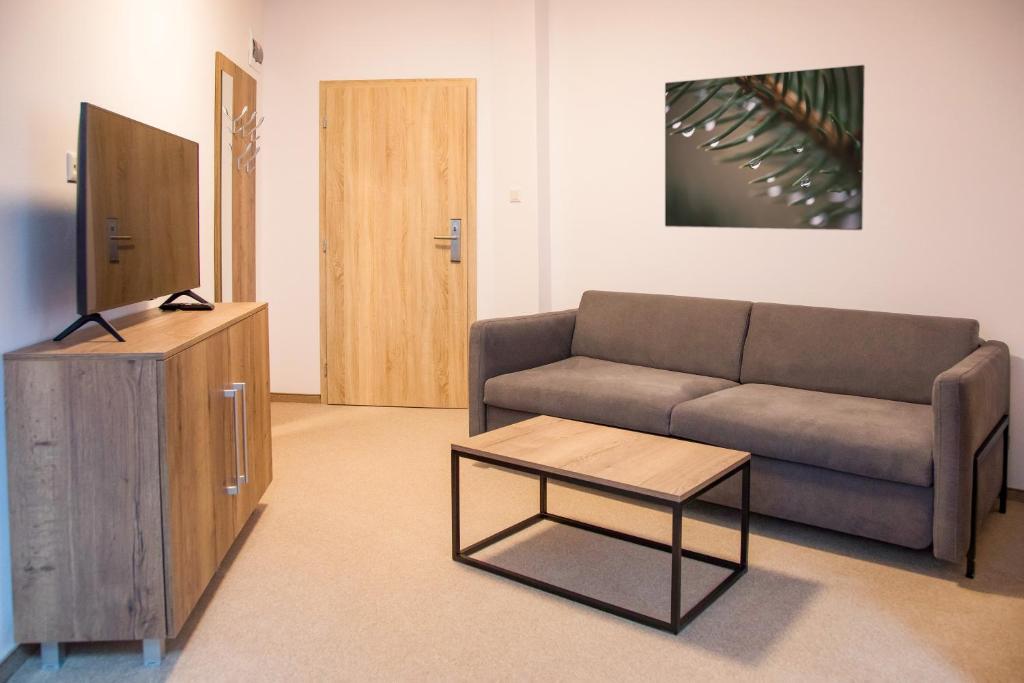 TV a/nebo společenská místnost v ubytování Family Resort Lučivná