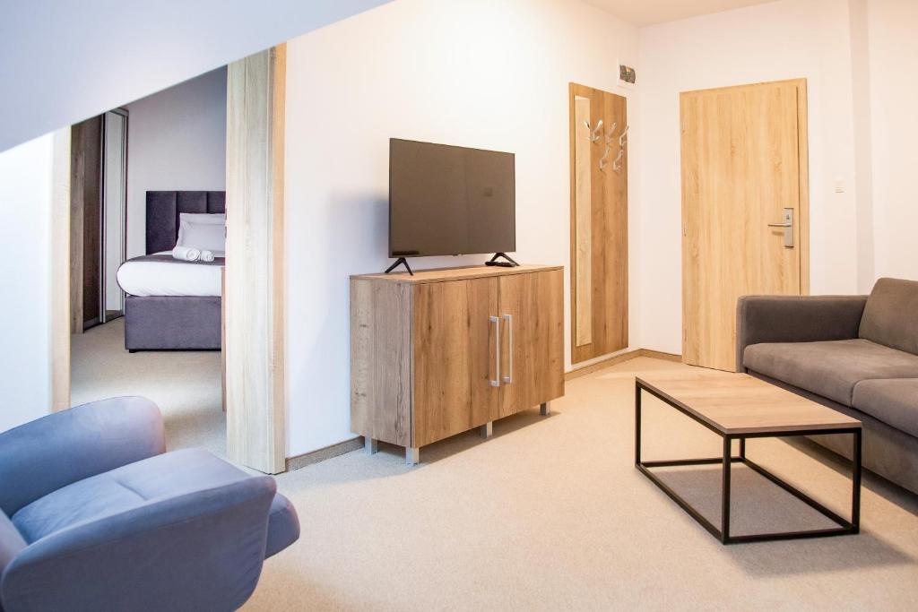 TV a/nebo společenská místnost v ubytování Family Resort Lučivná