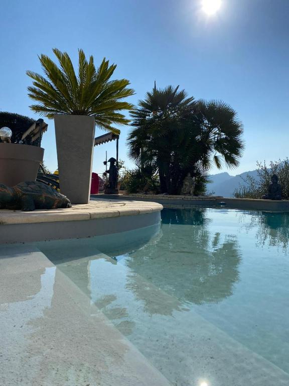 un bassin d'eau avec des palmiers en arrière-plan dans l'établissement charmante villa, à Saint-Martin-du-Var