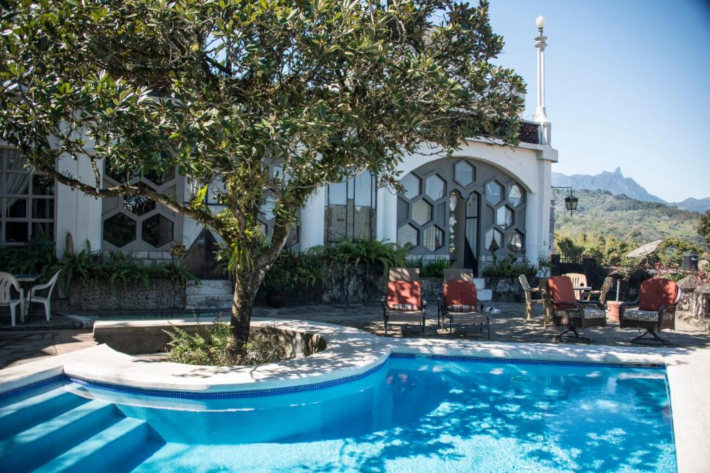 - une piscine avec un arbre en face d'une maison dans l'établissement Posada El Castillo xilitla, à Xilitla