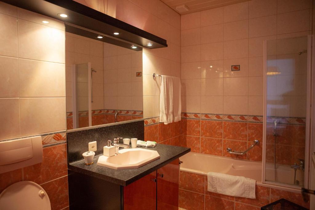 Koupelna v ubytování Hôtel de L'Ours