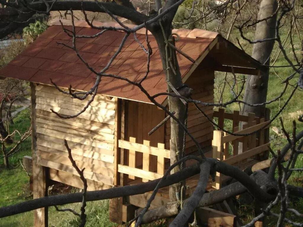 a wooden bird house with a red roof at Mas Chamarel à Sanary-sur-Mer au milieu des vignes et oliviers in Sanary-sur-Mer